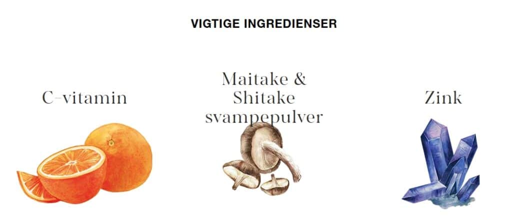Vigtige ingridienser
