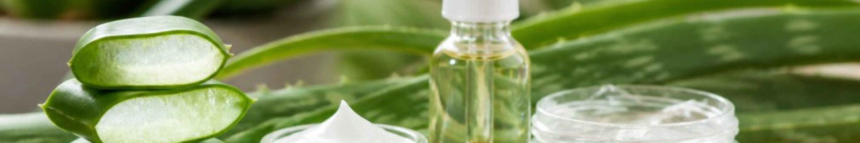 kob-aloe-vera-produkter-guide-til-kvalitet-og-pleje-1786412059